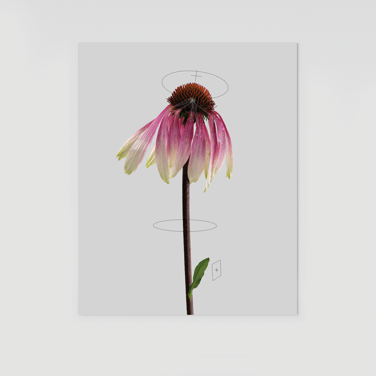 Print 002
